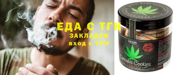 индика Богданович