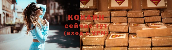 индика Богданович