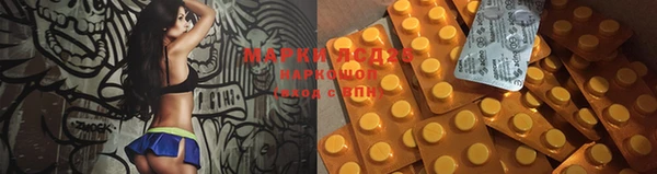 индика Богданович
