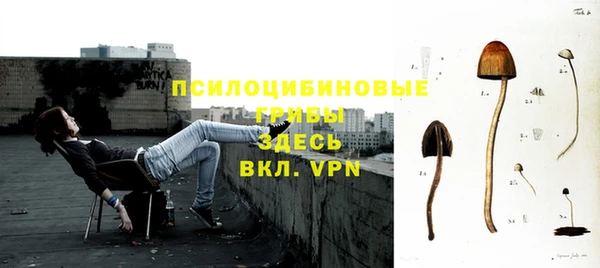 индика Богданович