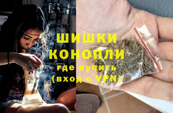 индика Богданович