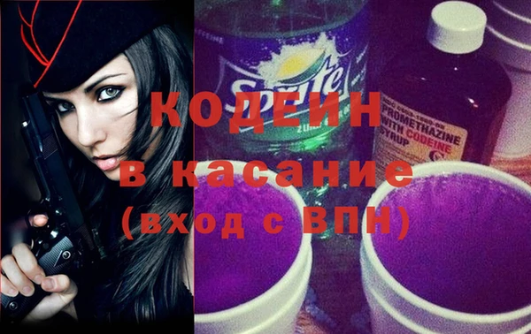 индика Богданович