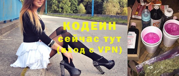хмурый Богородицк