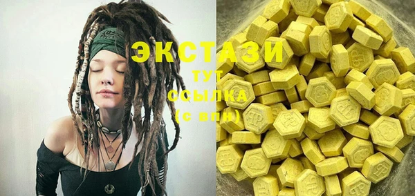 индика Богданович