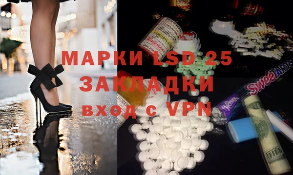 индика Богданович