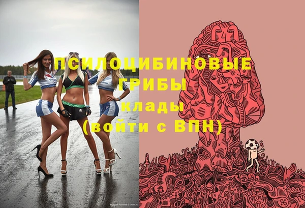 хмурый Богородицк