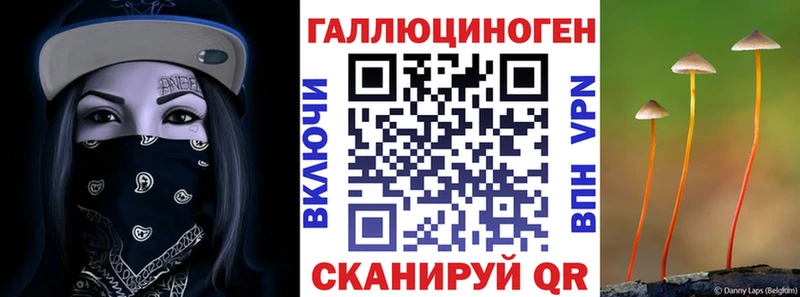 Галлюциногенные грибы GOLDEN TEACHER  Хабаровск 