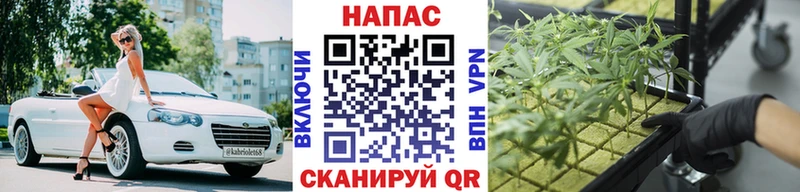Марихуана ГИДРОПОН  ссылка на мегу рабочий сайт  Хабаровск 